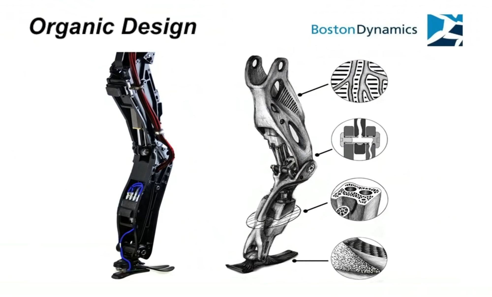 Как это устроено: робот Spot от Boston Dynamics